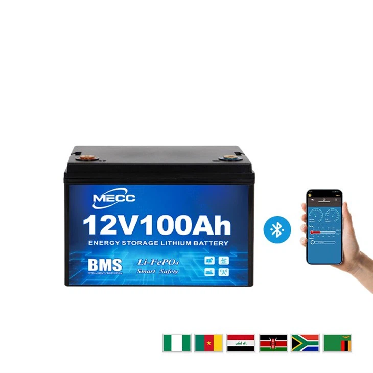 BMS 12.8v 100ah Lifepo4 Battery Pack